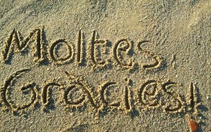 MOLTES GRÀCIES!
